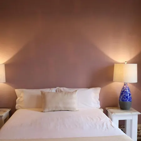 Guest house Palacete Do Conselheiro - Guesthouse